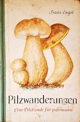 Pilzwanderungen