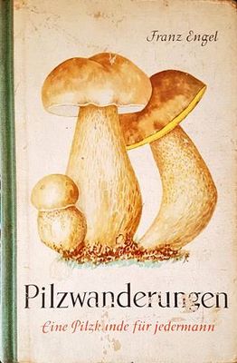 Pilzwanderungen