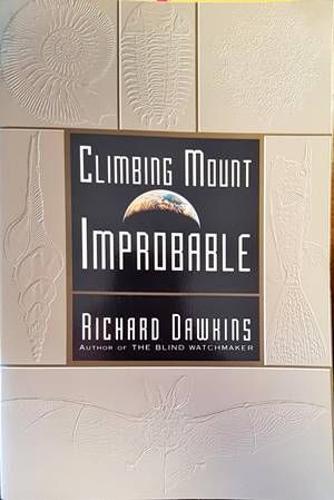 Climbing Mount Improbable