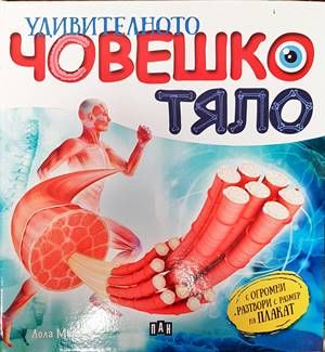 Удивителното човешко тяло