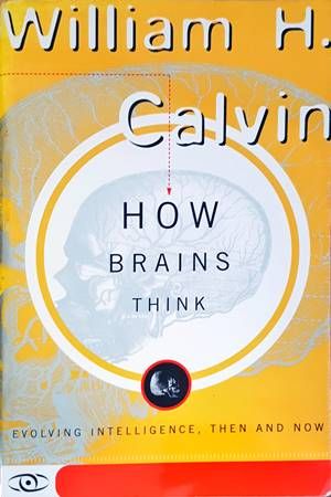 How Brains Think