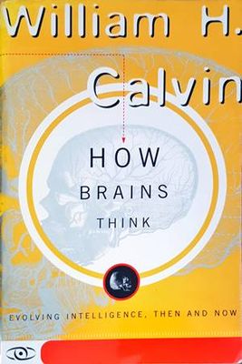 How Brains Think