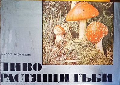 Диворастящи гъби