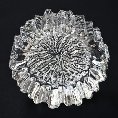 Art glass скулптура - Nautilus