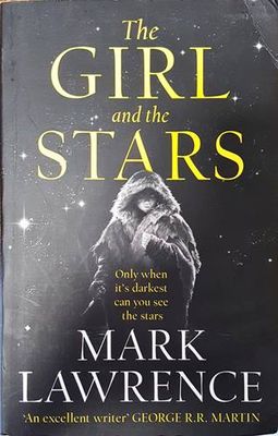 The girl and the stars