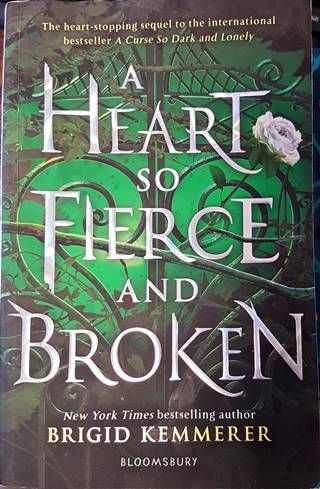A Heart so Fierce and Broken
