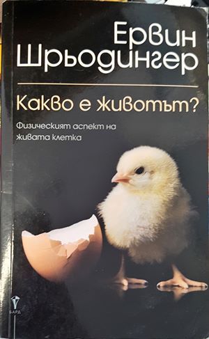 Какво е животът? Какво е животът?