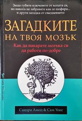 Загадките на твоя мозък