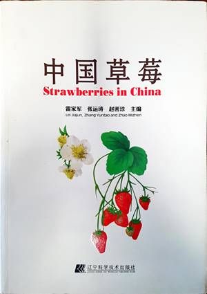 Strawberies in China