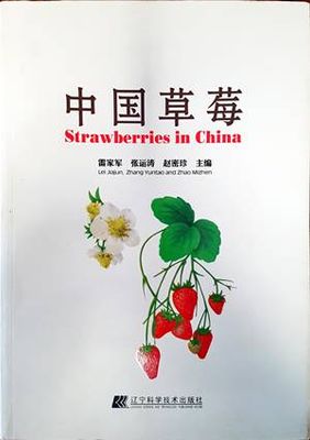 Strawberies in China