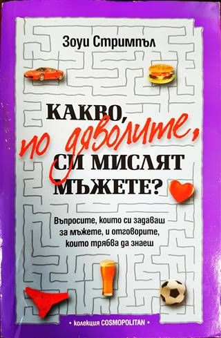 Какво по дяволите, си мислят мъжете?