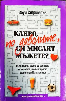 Какво по дяволите, си мислят мъжете?