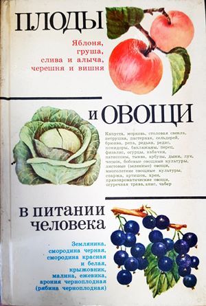Плоды и овощи в питании человека Плоды и овощи в питании человека
