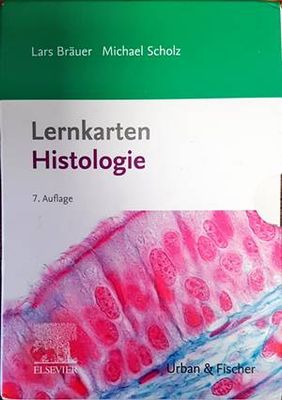 Lernkarten Histologie