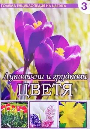 Голяма енциклопедия на цветята. Том 3: Луковични и грудкови цветя
