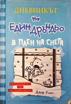 Дневникът на един Дръндьо. Книга 6: В плен на снега