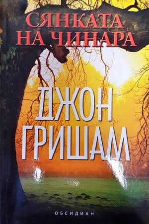 Сянката на чинара