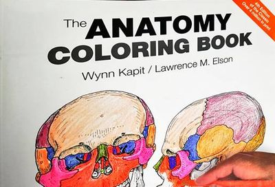 the anatomy coloring book