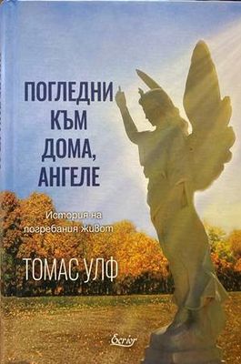 Погледни към дома, ангеле