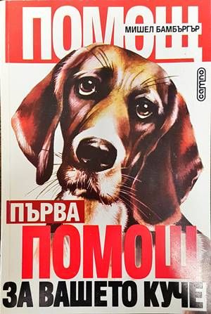 Първа помощ за вашето куче