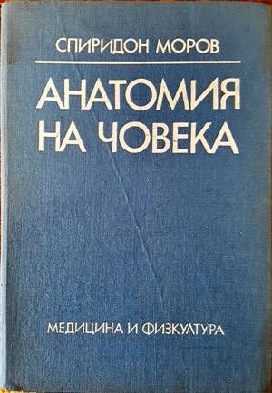 Анатомия на човека Анатомия на човека