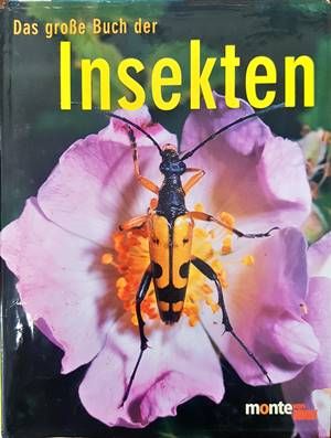 Das grosse Buch der Insekten