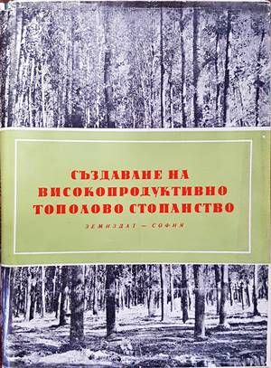 Създаване на високопродуктивно тополово стопанство