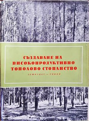 Създаване на високопродуктивно тополово стопанство