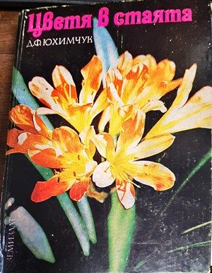 Цветя в стаята