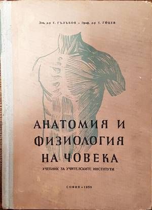 Анатомия и физиология на човека Анатомия и физиология на човека
