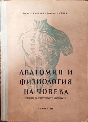 Анатомия и физиология на човека