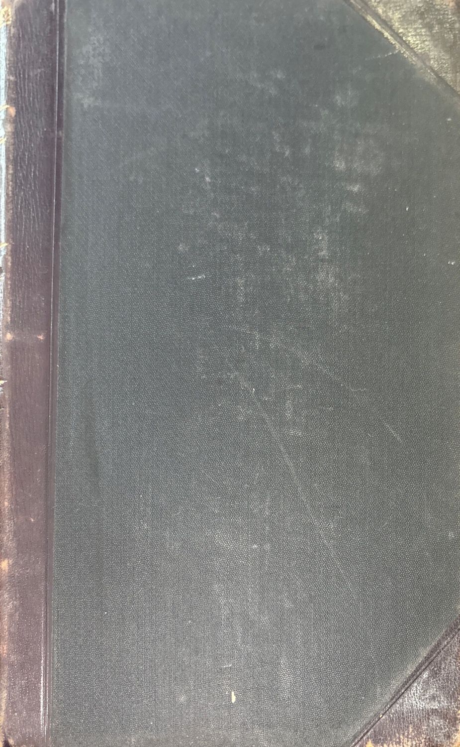 Нормальная анатомия