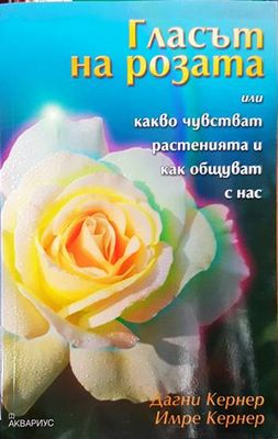 Гласът на розата