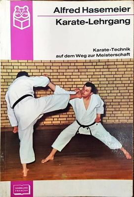 Karate-Lehrgang. Karate-Tehnik auf dem Weg zur Meisterschaft