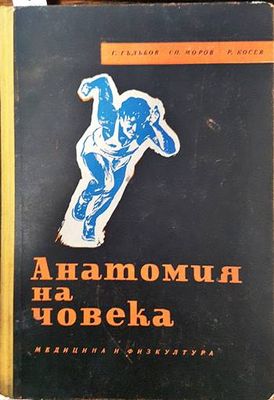 Анатомия на човека