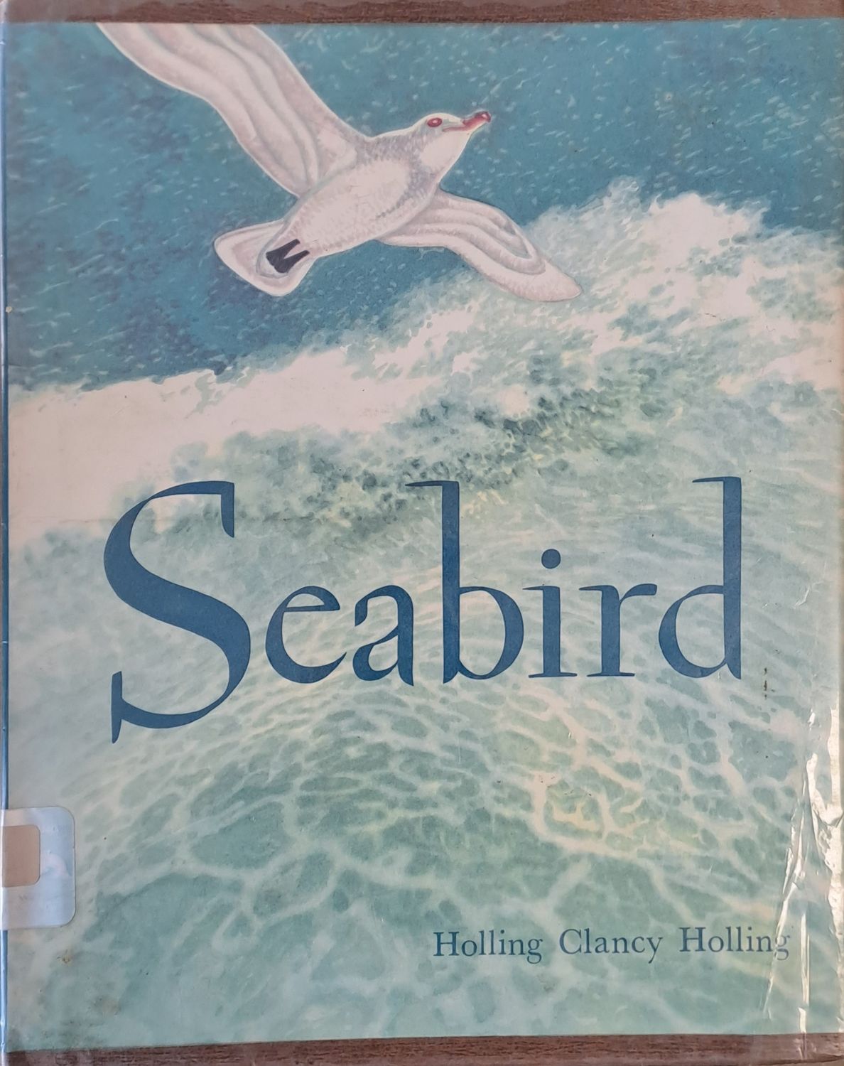 Seabird