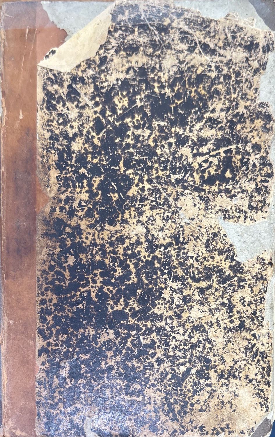 Полное собрание сочинений Н. В. Гоголя. Том 1