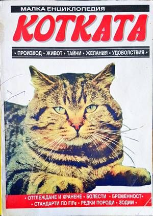 Котката