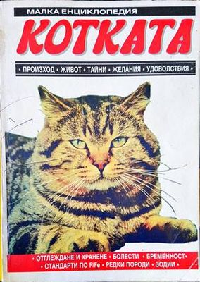 Котката