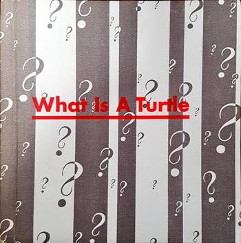 What is a turtle