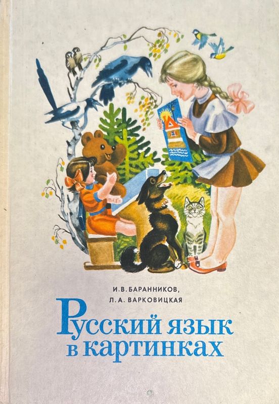 Русский язык в картинках