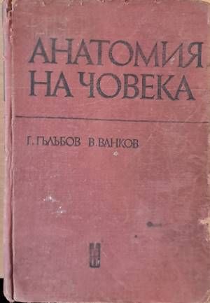 Анатомия на човека Анатомия на човека