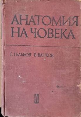 Анатомия на човека