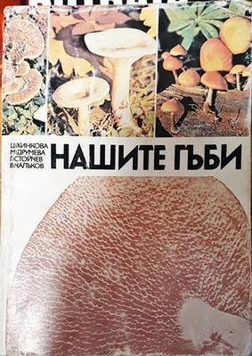 Нашите гъби