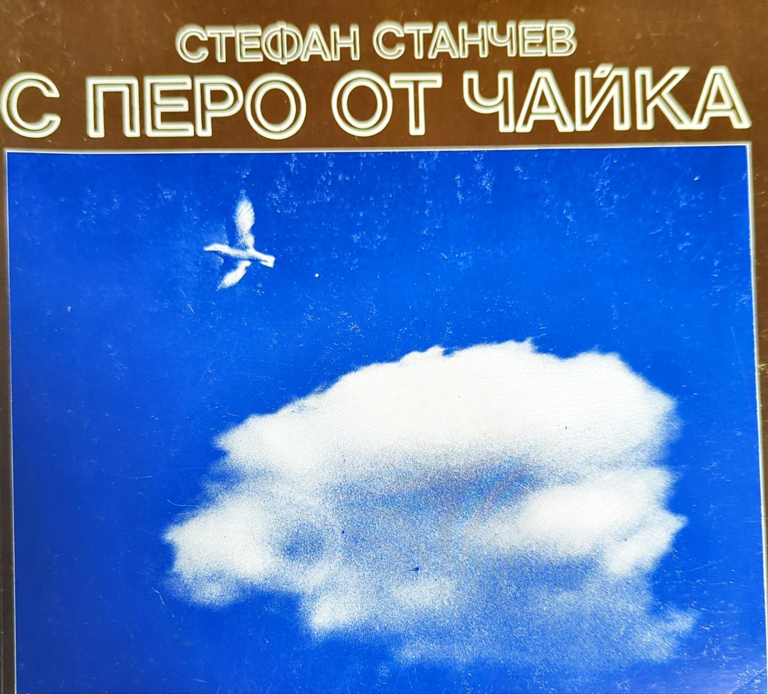 С перо от чайка