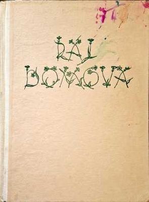 Raj Domova