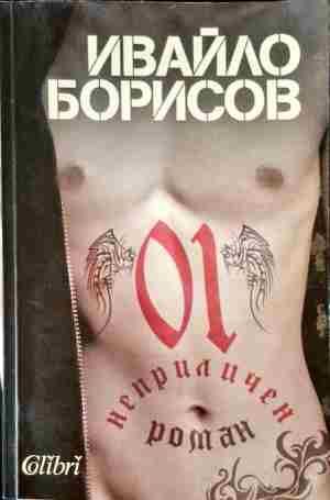 Неприличен роман