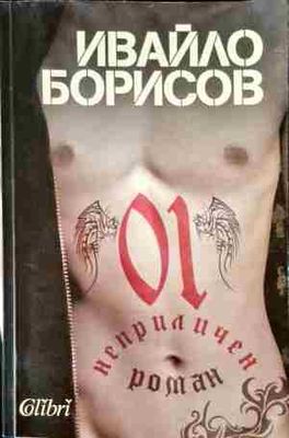 Неприличен роман