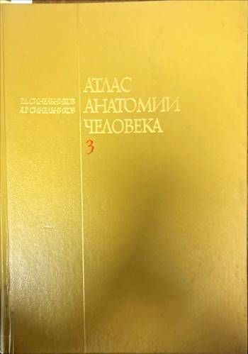 Атлас анатомии человека. Том 3