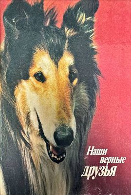 Наши верные друзья